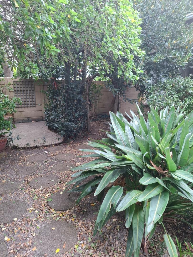 751052_Garden_2.jpg